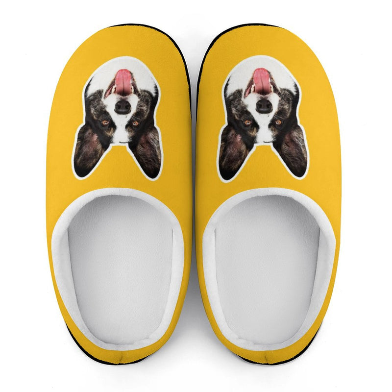 Personalized Big Face 6 Colors Cotton Slipper For Family